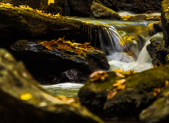 IMG_9485-Edit