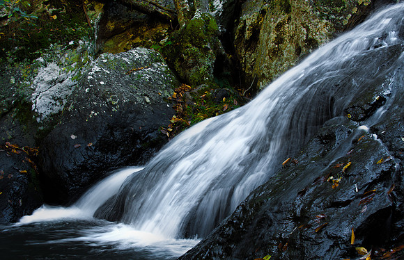IMG_9401-Edit