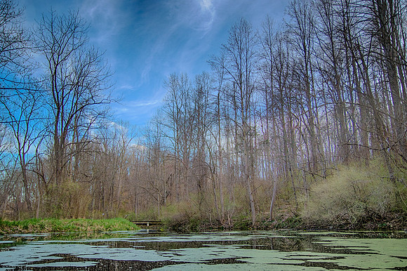 937A0549_HDR