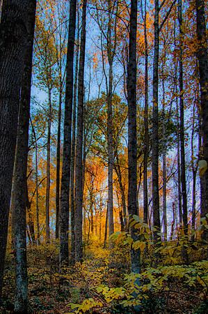 IMG_9691_HDR