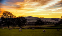 England_011