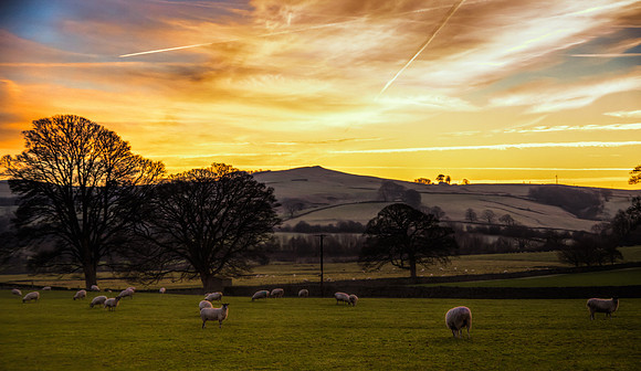 England_011